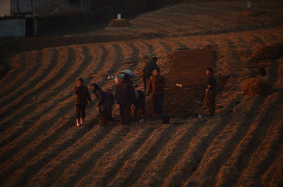 北朝鮮、干ばつで食糧生産量10％減に 韓国が予測発表