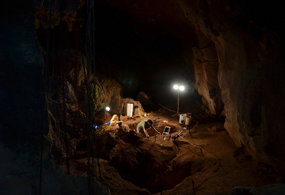 「化石の金鉱」発見、気候変動への適応過程にヒントか 豪州鍾乳洞群