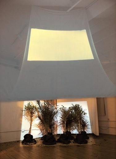 NYのアーティスト、植物のための映画を上映