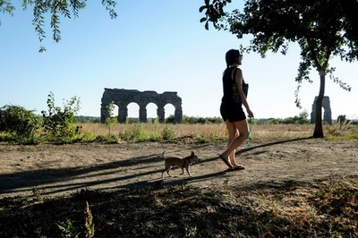 犬の看病に傷病手当、イタリア裁判所が認める 「ペットは家族」
