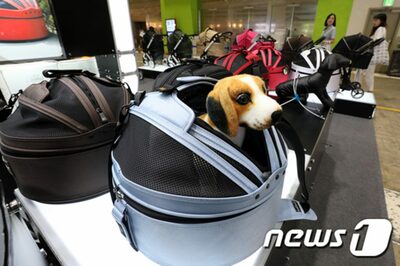 健康診断から心理・性格分析まで…急拡大する「ペットテック」市場、ここまで来た