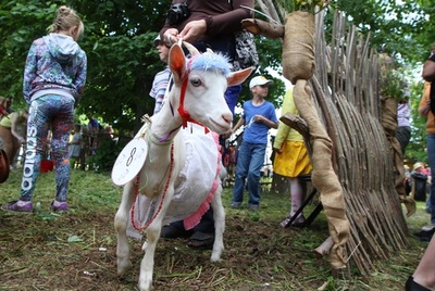 リトアニアで「美ヤギ」コンテスト