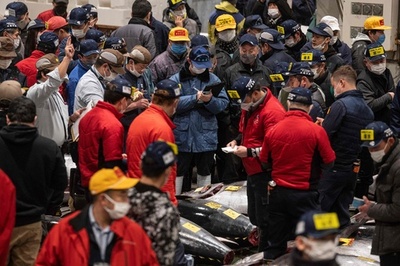 豊洲初競り、大間産マグロに3604万円