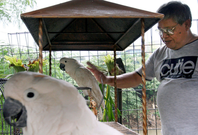 ＜鳥インフルエンザ＞新たに2人死亡で犠牲者は71人に - インドネシア