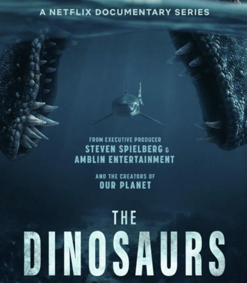 Netflix(c)MONEYTODAY