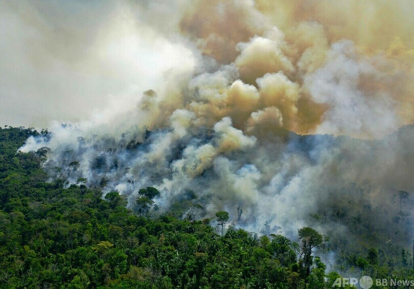 ブラジルの20年CO2排出量、コロナ禍でも増加