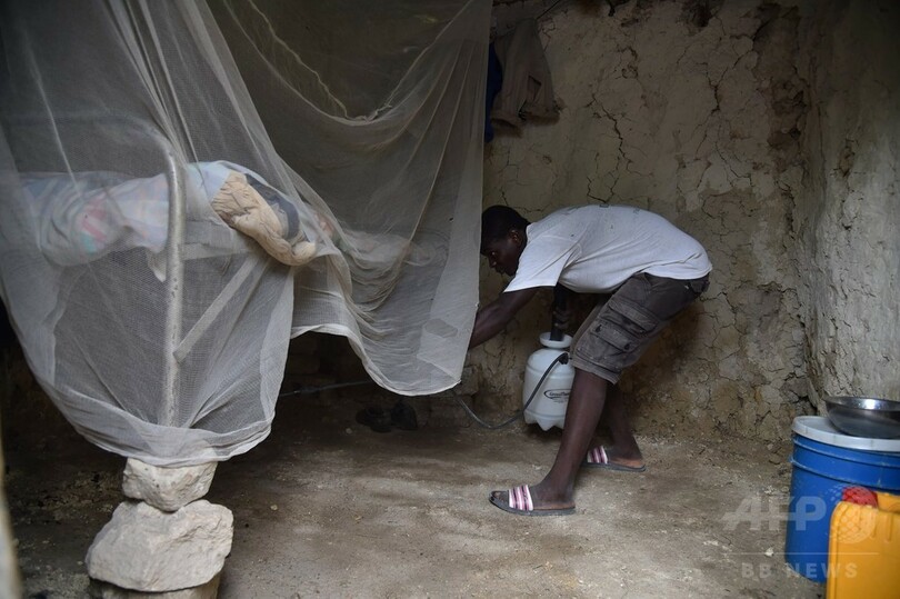 コレラ大流行のハイチ、10年以降80万人感染 資金不足問題も