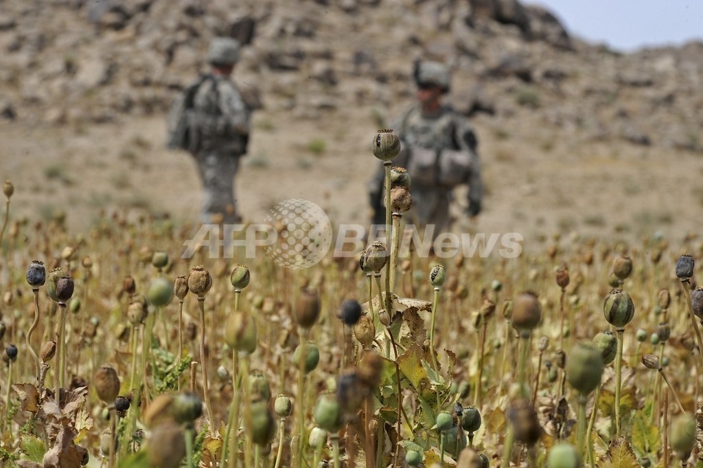 アフガン民間人殺害で軍法会議、駐留米兵の1人が有罪認める