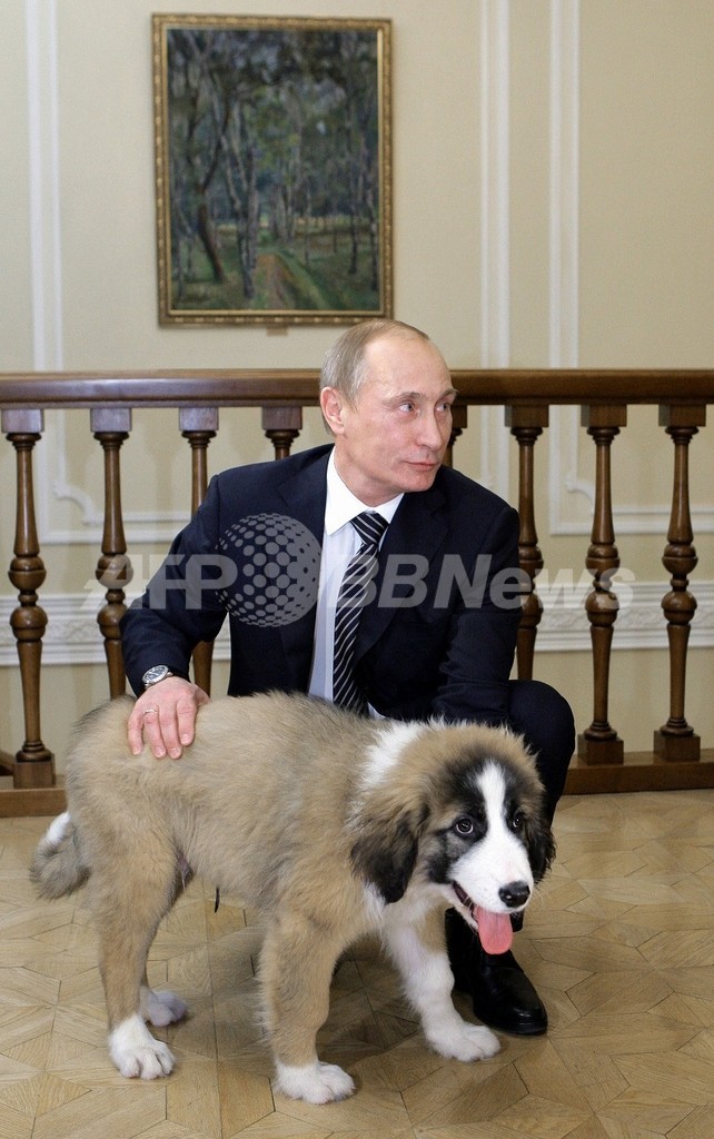 プーチン首相 キルギスの山の名前に 写真1枚 国際ニュース Afpbb News