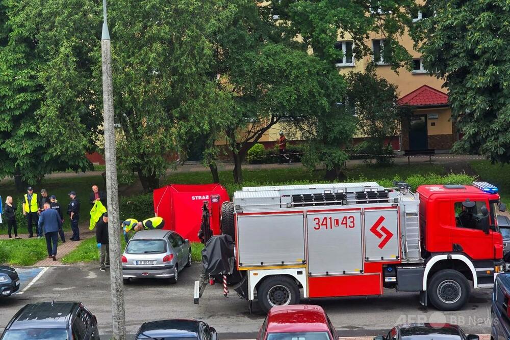 プーチン風刺のロシア人画家殺害、ポーランドで容疑者逮捕 首相発表