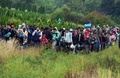 ハンガリー国境を越えてオーストリア入りし、歩き続ける移民たち（2015年9月20日撮影）。(c)AFP/ATTILA KISBENEDEK
