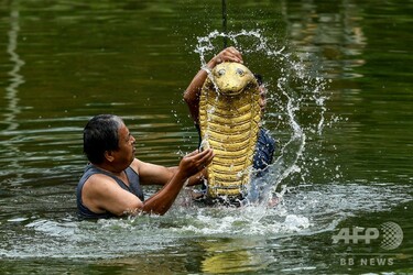 今日の1枚】今年も祈る、蛇の神様に 写真3枚 国際ニュース：AFPBB News