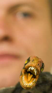 プテロサウルスの翼の構造に関する研究を発表 ブラジル 写真8枚 ファッション ニュースならmode Press Powered By Afpbb News プテロサウルスの翼の構造に関する研究を発表 ブラジル 写真8枚 ファッション ニュースならmode Press Powered By Afpbb News