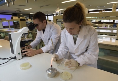 愛情ホルモンに「酔い覚め」効果か、国際研究