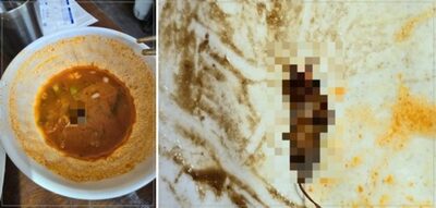 韓国・チャンポンの汁から浮き出た“あの虫”…問題は「店の対応」だった