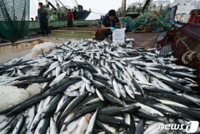 福島原発の処理水、放出目前…韓国流通業界の水産物安全強化「奔走」