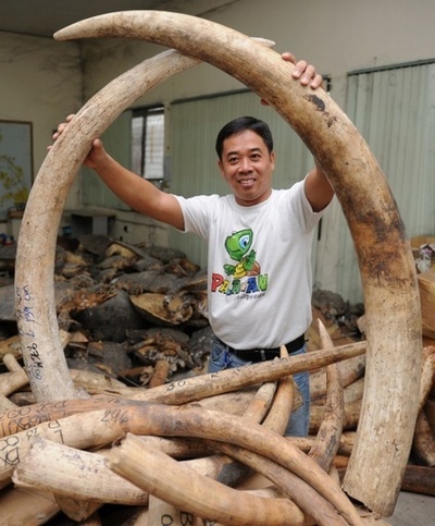 押収した象牙5トンを粉砕へ、フィリピン