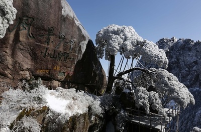 景勝地・黄山の国宝の松を守れ！ 豪雪予報に「松守り」ら奮闘