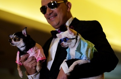 ペット界もファッションウィーク、米NYでチャリティーイベント