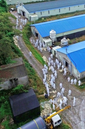 韓国でまた鳥インフルが流行、家禽の移動を全面禁止
