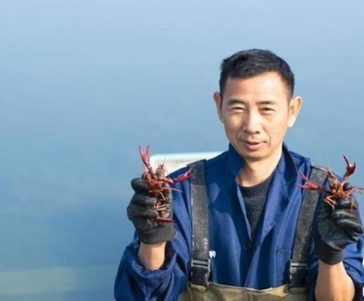 ロブスターとザリガニ、辰年の人気者に 中国