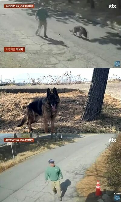 「散歩のふりをして」ペットカフェ前に愛犬を置き去り…韓国・遺棄した飼い主を告発へ