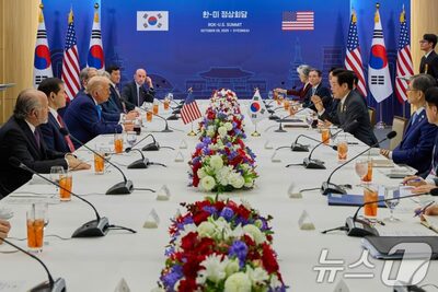 韓米関税交渉妥結後、産業界に明暗…自動車「反騰の契機」、鉄鋼「重荷」、半導体「依然として緊張」