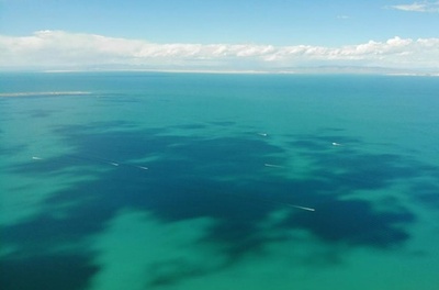 中国最大の湖・青海湖を国立公園にする作業を開始