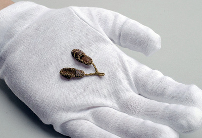 アウシュビッツ生還者、「お守りの小さな靴」を博物館に寄贈