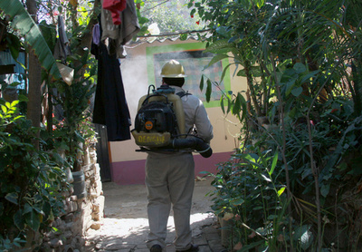 メキシコでジカ感染女性が出産、新生児は「臨床的に健康」