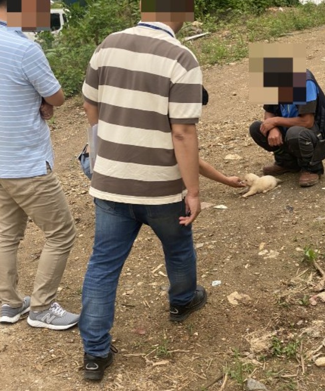 現場を訪れた華城市役所の公務員が「赤ちゃん1匹を検査する」と求めると、主人が檻から出し、地面に置いた(c)MONEYTODAY