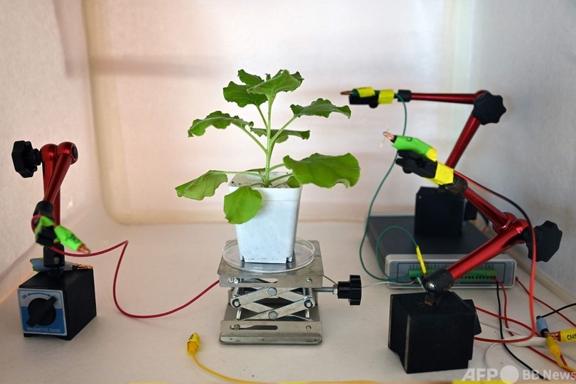自然と技術を融合させた「ロボ植物」が現実に？ シンガポール
