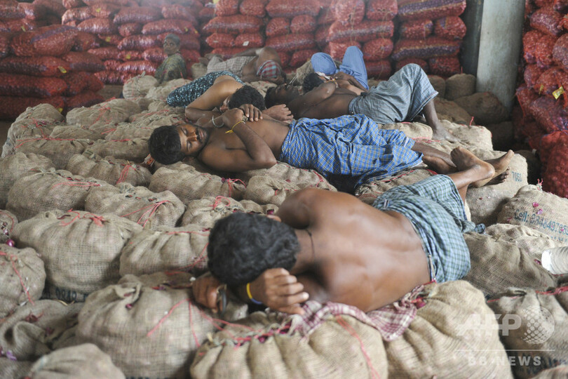 【今日の1枚】タマネギのベッド、程よい刺激