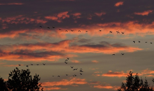 img_b28a869668c40d62d2e55130c2