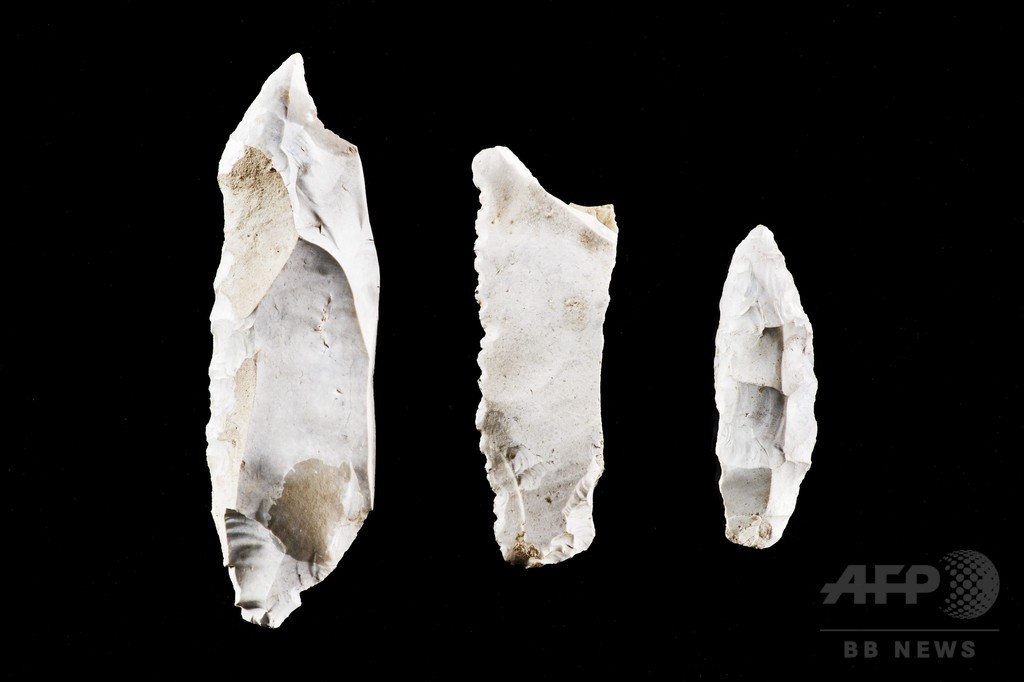 新石器時代に残虐な集団暴力行為、独で発見の人骨示唆 研究 新石器時代に残虐な集団暴力行為、独で発見の人骨示唆 研究