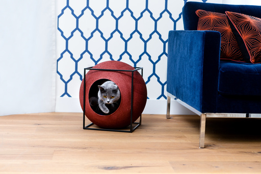 パリ発「MEYOU」日本初上陸、おしゃれなキャットハウス 写真20枚 国際