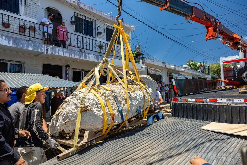 エルサルバドルで約3000年前の人骨発掘、最古の生贄遺跡と関連か