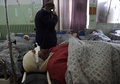 アフガニスタンの首都カブールで発生した爆発で負傷し、病院で治療を受ける人（2017年5月3日撮影）。(c)AFP/WAKIL KOHSAR