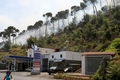 レバノンの首都ベイルート（Beirut）東部郊外アレー（Aley）の山火事で、火災現場から避難する女性（2008年7月22日撮影）。(c)AFP/RAMZI HAIDAR