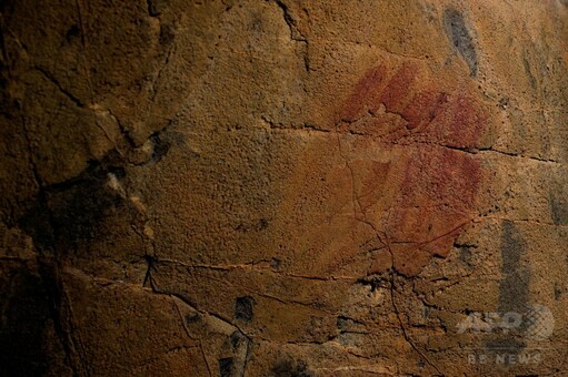 世界最古の洞窟壁画、ネアンデルタール人の複雑な感性示す 写真10枚