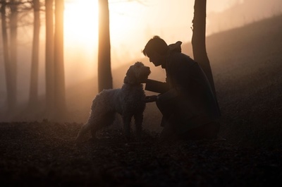 【今日の1枚】お宝発見、パートナーがいてこそ