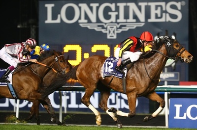 ジェンティルドンナがドバイ・シーマクラシック優勝