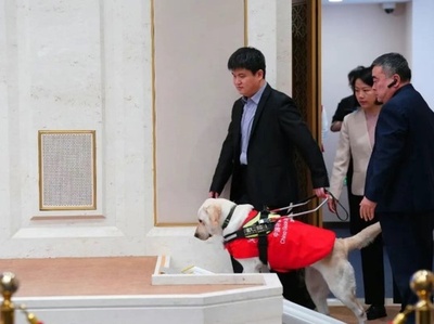 中国で盲導犬が国務院報道弁公室のプレスホールに初登場
