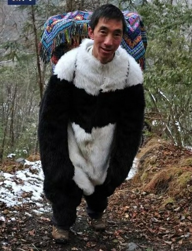 野生に戻された2頭のパンダ 「自然恋愛」に成功