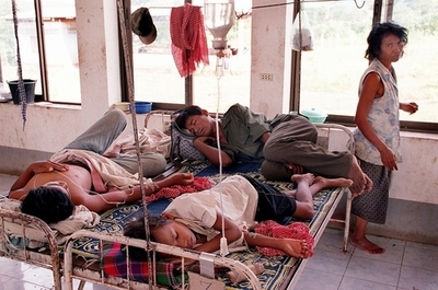 既存薬が効かないマラリア原虫が出現、タイ・カンボジア国境