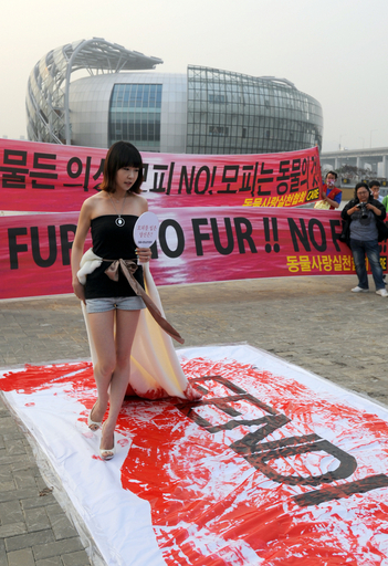 韓国でフェンディがショー、動物愛護団体が抗議