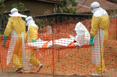 ギニアのエボラ出血熱、死者200人超に WHO発表