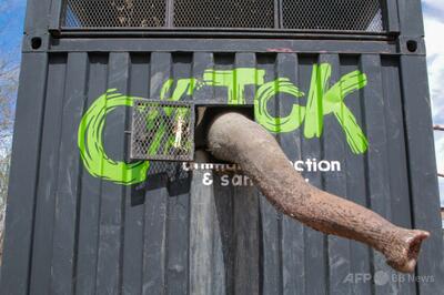 「21世紀のノアの箱舟」 動物たちを抗争から遠ざけ新天地へ メキシコ