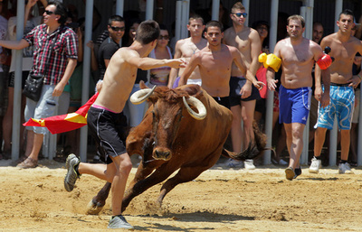 牛と一緒に海へジャンプ！ スペイン南部の伝統行事