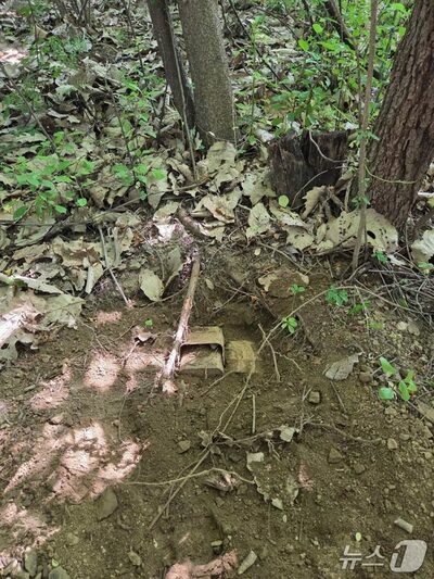 韓国・坡州の住宅近くに地雷47個、3カ月放置　住民「軍の職務怠慢」